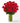 Two Dozen Red Roses Bouquet