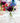 Hibiscus Budvase-Clear