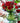 Hibiscus Budvase-Green