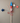 14.5" Firecracker & Star Spray