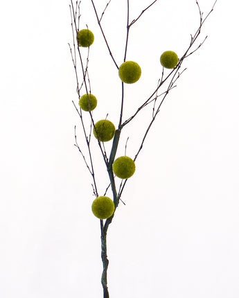 Moss Ball Branch 50"