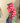 4" Star Print Taffeta Ribbon
