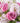 Springtime Spritz Bouquet