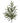 36" Real Touch Forest Norfolk Pine Spray