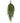 36" Real Touch Forest Norfolk Pine Teardrop