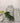 White & Green Coral Ceramic Ginger Jars (Set of 3)