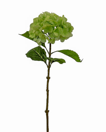 Natural Touch Hydrangea