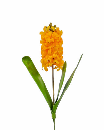 Natural Touch Hyacinth