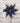 22" Midnight Blue Poinsettia