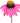 Fanciful Pink Coneflower