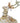 Blitzen Glass Ornament