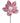24" Gingerbread Poinsettia