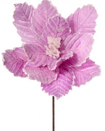 Glitter Velvet Snow Edge Poinsettia 24"