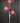 28" Peppermint Candy Spray