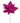 19" Fuchsia Poinsettia