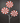 26.5" Peppermint Candy Spray