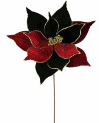 22" Red & Black Velvet Poinsettia
