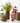 7.5"-16.5" Twig & Moss Leaves Vases (Sold Separately)