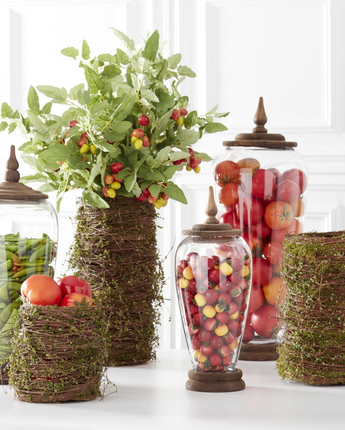7.5"-16.5" Twig & Moss Leaves Vases (Sold Separately)