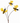 26" Bee Spray
