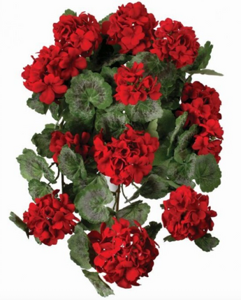22" Cascading Geranium