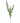 55" Southern Salal Spray