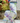 4" Grosgrain Watercolor Dragonfly Ribbon