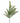 36" Real Touch Lebanon Cedar Spray