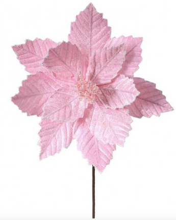 20" Sugared Poinsettia Stem