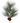 30" Horsetail Pine Spray