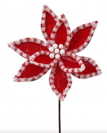 22" Candy with Snow Glitter Poinsettia