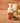 Pumpkin Laurel Foaming Hand Soap