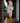 78" Major Macaron Nutcracker (Not Eligible for Shipping)