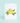 Lemon Branch Card