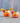 Candy Bucket (Sold Separately)