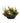17" Tropicals in Oval Planter