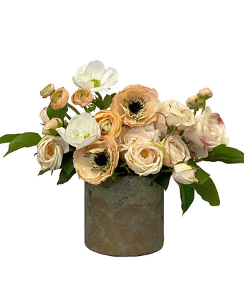 12" Rose Anemone in Pot