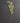 14" Gold Mosaic Mirror Acanthus Spray