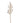 24" Sugar Berry Stem
