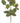 24" Velvet Holly Leaf Spray