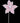 19.5" Speckle Holly Leaf Poinsettia