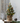 14.5" Light Up Snowy Pine Tree