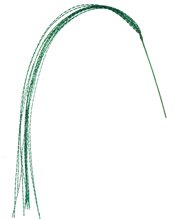 Twisted Spray (Sold Separately)
