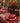 Holiday Threads Tablecloth