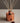 Simmered Cider Petite Diffuser